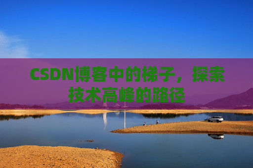 CSDN博客中的梯子，探索技术高峰的路径